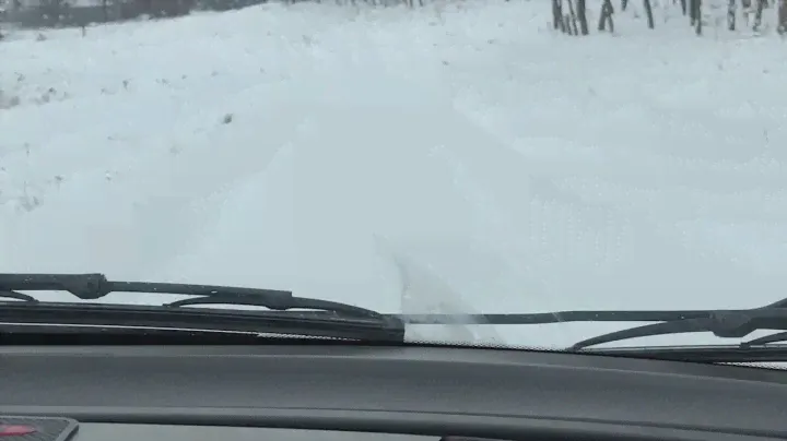 Зимняя резина Premiori 185/60 r14 по снегу