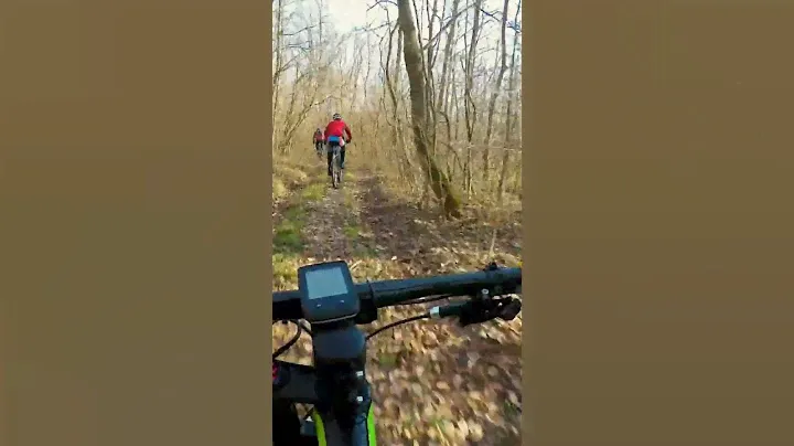 POV Cyclo-Cross 🚵🏻