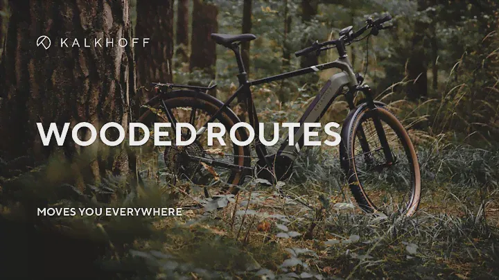 Wooded Routes | Entice 5+ - Allroad/MTB E-Bike | KALKHOFF Bikes
